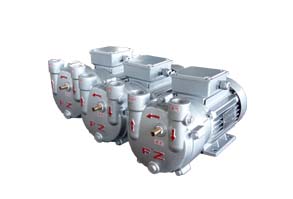 ZKB系列水環式真空泵